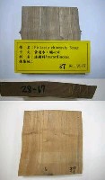 館藏編號:TAIMW000037的藏品圖